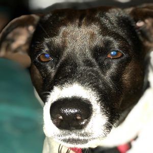 Meet your Posher, Sandra